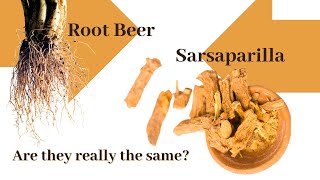 A brief thirst quenching history of Root beer and Sarsaparilla [upl. by Kingdon]