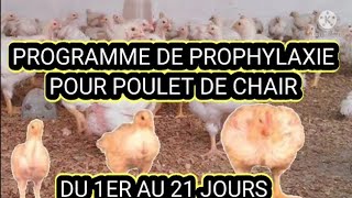 PROGRAMME DE PROPHYLAXIE POUR POULET DE CHAIR DU PREMIER AU 21ÈME JOUR [upl. by Ibrad]