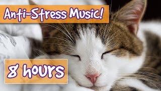 Make Your Cat Happy with Soothing Cat Music  Perfect for Anxious and Nervous Cats [upl. by Iah]