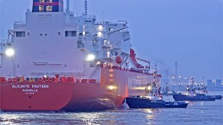 EVENING MARINE TRAFFIC AT ROTTERDAM PORT  4K SHIPSPOTTING ROTTERDAM NETHERLANDS 2023 [upl. by Ativoj]