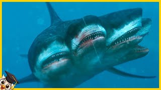 10 Tiburones Que Nacen Solo Una Vez Cada Mil Años [upl. by Hubble]