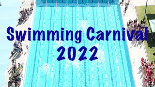 Stannies Swimming Carnival 2022 [upl. by Ahsietal]