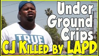 100 Dollar Bill from UnderGround Crips on CJ getting shot by LAPD on 107th Street [upl. by Ennael561]