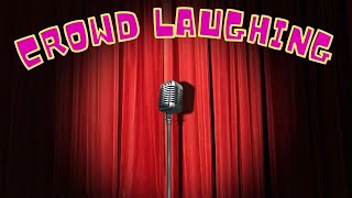 Crowd Laughing Sound Effects  Comedy Club Laughter [upl. by Hege]