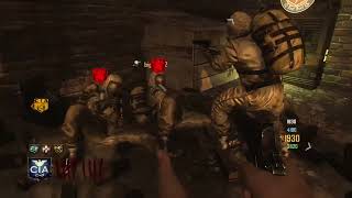 Black Ops Zombies Grief squeaked out with the revive [upl. by Ahsoek]