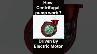 How is the Centrifugal pump working in 3D animation pump [upl. by Aehcsrop]