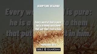 PROVERBS 305  SCRIPTURE READING  AUTHORIZED KING JAMES BIBLE [upl. by Karisa]