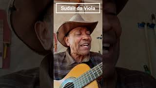 P3 Galo Veio sudairdaviola sertanejo modaodeviola musicasertaneja musica modadeviola caipira [upl. by Ondrej]