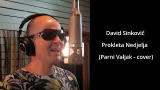 David Sinkovič  Prokleta Nedjelja Parni Valjak  cover [upl. by Tamra]