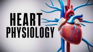 The Cardiac Cycle Simplified  What You Need to Know [upl. by Akkire]