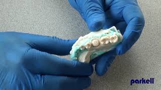 Making a Restorative Quality VPS Dental Model [upl. by Margeaux]