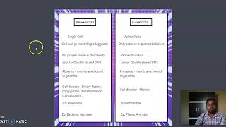 Prokaryotes vs Eukaryotes [upl. by Ahsitak]