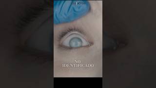 Película de terror para la noche¡La autopsia de Jane Doe peliculas [upl. by Adaven]