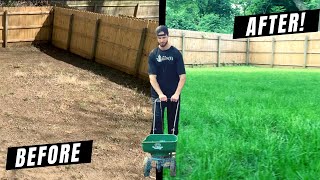 How to Grow a Lawn From Scratch DIY Guide  Lessons Learned [upl. by Phineas904]