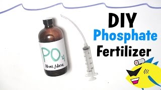 How To Make DIY Aquarium Plant Fertilizer Phosphate [upl. by Delora]