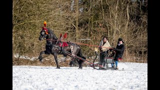 Een prachtig winters schouwspel belslydjeien Vegelinbossen in Sint Nicolaasga [upl. by Bertina]