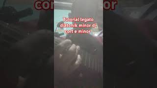 tutorial legato diatonik minor di coret e minor cort guitarchord guitarscale blajargitarpemula [upl. by Saffier804]