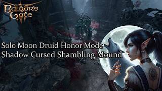 Solo Moon Druid Shadow Cursed Shambling Mound Honor Run [upl. by Enail]