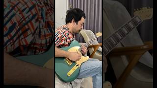 santeria by sublime guitar solo sublime santeria reggae guitarsolo guitarcover telecaster [upl. by Milurd]