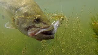 Catching Summer Bass in GIN CLEAR Water Reservoir Jon Boat Fishing [upl. by Notserk]