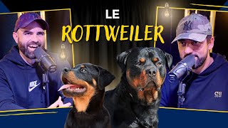 Le ROTTWEILER [upl. by Notniv]