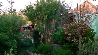 Dawn at Bealtaine Cottage Permaculture Smallholding Ireland [upl. by Otrebide]