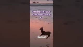 christianedit deer isaiah inspirationalquotes motivation bibleverses [upl. by Artemas654]