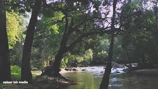 Wayanad tourism whatsapp status [upl. by Beckie]