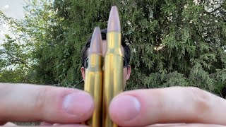 3006 vs 308 Winchester Which Penetrates Steel Better [upl. by Aniala127]