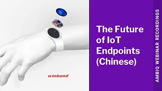 Ambiq at Winbond AI TechDay 2021 The Future of IoT Endpoints Chinese [upl. by Flint]