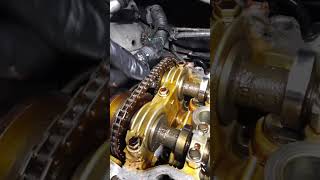 2005 Toyota Corolla  Found Slight Timing Chain Stretch During Valve Cover Job 330 K Kilometers [upl. by Innavoeg]