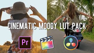 FREE Cinematic Moody LUTs V3 II Moody Colour Grading  FCPX Premiere Pro Da Vinci  2022 [upl. by Nanek]