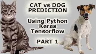 Image Classification with Keras Tensorflow  Cat Vs Dog Prediction  Convolution Neural Networks P1 [upl. by Ihcur773]