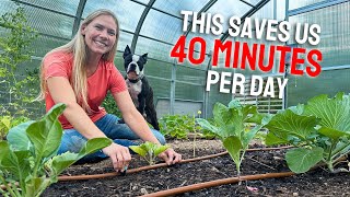 Installing a DRIP LINE Irrigation System in our Greenhouse  HUGE Time Saver [upl. by Llerol]