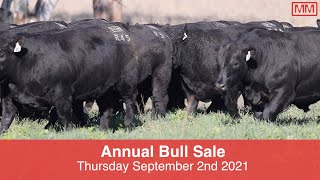 Millah Murrah Angus 2021 Bull Sale Preview [upl. by Aiciles]