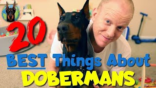 The 20 BEST Things About Owning a Doberman in 2023 [upl. by Eradis]