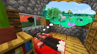 Minecraft But You Can Enter DREAMS [upl. by Curtis]