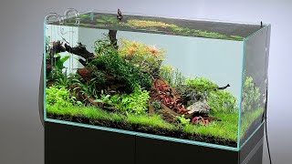 EVOLVING A HIGH TECH AQUASCAPE  STEP BY STEP TUTORIAL [upl. by Osber]