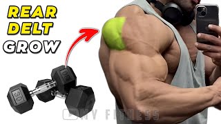 5 Best Rear Deltoid Exercises With Dumbbells Shoulder Workout [upl. by Sontich383]