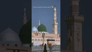 Sarkar ummati hun Naat Sharef Treading shorts islamicmusic [upl. by Yhtamit]