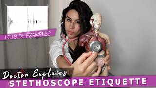 Doctor Explains Stethoscope Examination Patient Etiquette  Heart amp Lung Sounds 🩺 [upl. by Hoy58]