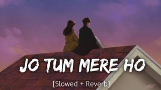 jo tum mere ho lofi song slower reverb lofi song music song slowedandreverb slowed lofi [upl. by Ahsirtak737]