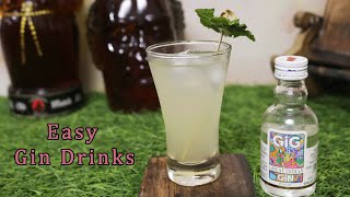 Easy Gin Cocktail Recipe [upl. by Ashla]