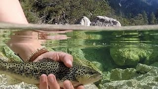 Pesca alla Trota  Trote di Montagna 7  🏔Trentino  Val del Mat [upl. by Airdnalahs]