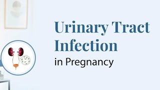 UTI Treatment in Pregnancy Safe Antibiotics and Management Guidelines [upl. by Arag]