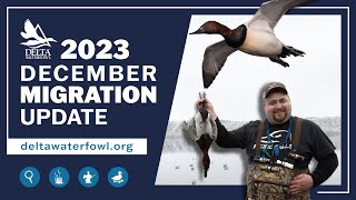 December Migration Update 2023 [upl. by Dickson]