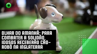 Olhar do Amanhã para combater a solidão idosos receberão cãorobô na Inglaterra [upl. by Analiese303]