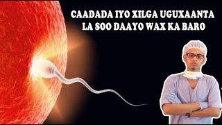 DHIIGA CAADADA IYO XILGA UGAXAANTA LA SOO DAAYO WAX KA BARO Dr faris [upl. by Lia]