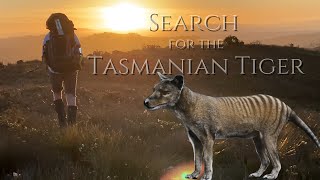 Does the Tasmanian Tiger Thylacine still exist at the Spero River Tasmania [upl. by Elsie913]