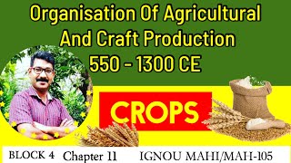 MHI105 I MAHI I HISTORY OF INDIAN ECONOMY Crops mahistory ignou2024 5501300CE [upl. by Stempson]